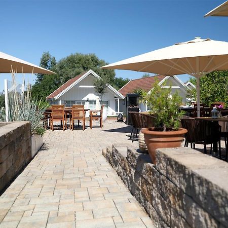 בולטנהאגן Ferienwohnung Seestern Fuer 6 Personen Mit Kamin & Terrasse מראה חיצוני תמונה